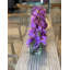 Orchid Floral Arrangement in Planter-1156158566