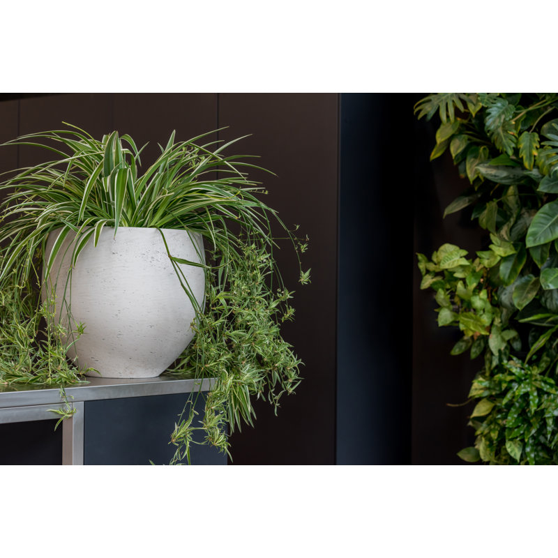 Orbe M, gris délavé, Gris délavé, H 16,93 po x l 18,9 po x P 18,9 po