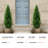 Artificial Cedar Topiary-1255344778