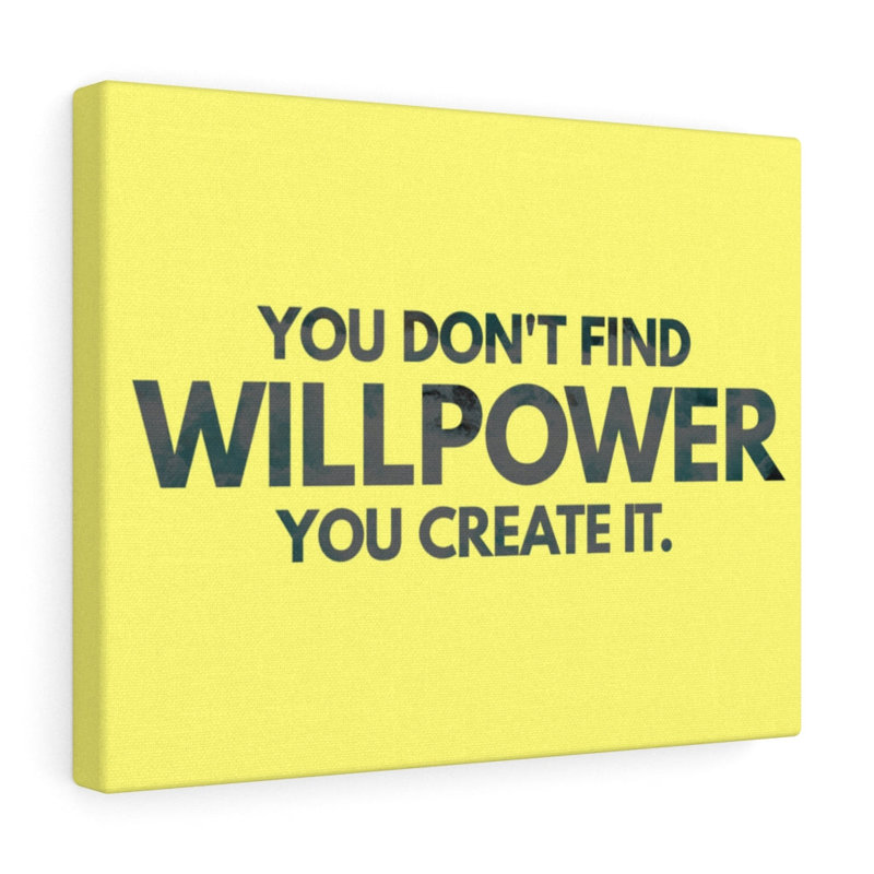 You Don't Find Willpower 1 Piece Wrapped Canvas Wall Art