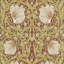 Morris Archive Pimpernel Wallpaper-50889295
