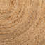 Alvertia Geometric Shapes Jute / Sisal Braided Area Rug-1570024