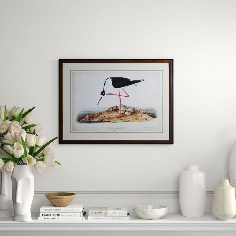 Stilt Print by Audubon