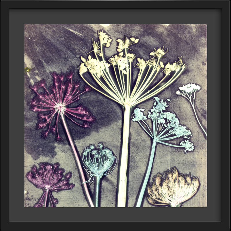 Gillian Arnold - Single Picture Frame Print