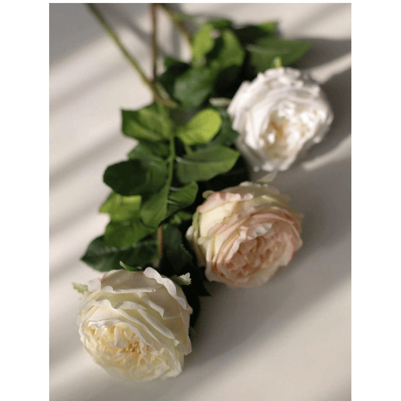 Tige de jardin rose - 29 po, Blush Pink, [C] 6 Stems