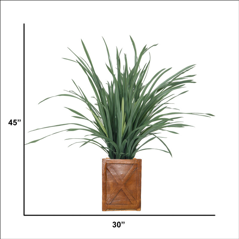 45'' Faux Lemon Grass Grass