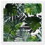 «Botanical Green Leaves Floral», impression encadrée-68785287-68785290