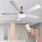 Ceiling Fan with LED Lights-337638975