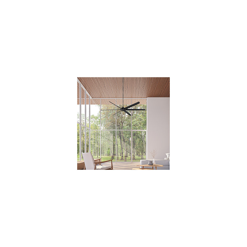 Rachna Ceiling Fan with Light Kit