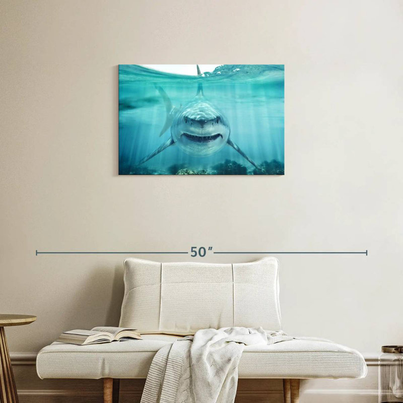 Brampt Predatory White Shark, 20" H x 30" W