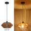 1 - Light Matte Black Single Pendant