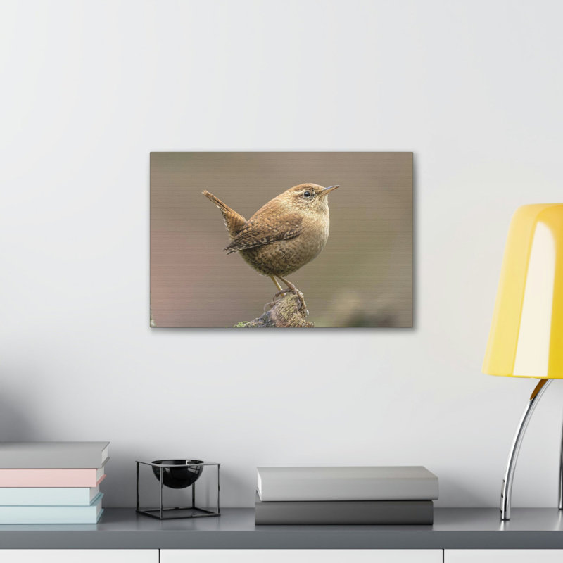 Art mural majestueux Wren, H 12 po x l 16 po