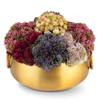 Beatrix Gold Sedum Arrangement
