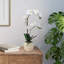 22 in. Realistic Artificial Orchid with Decorative Pot-1759057787