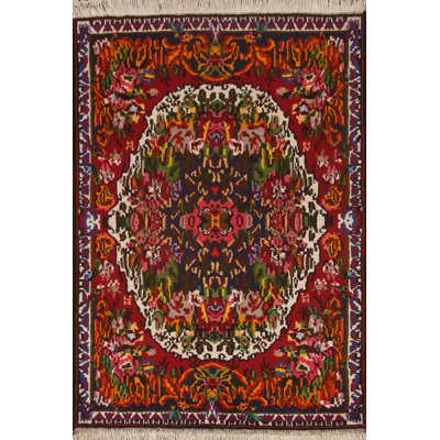 Traditional   Area Rug 4x5