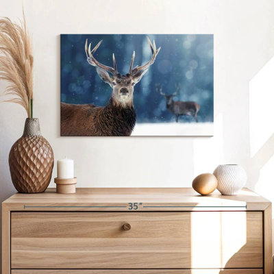 Brampt Male Noble Deer