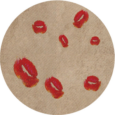 Indoor Rug