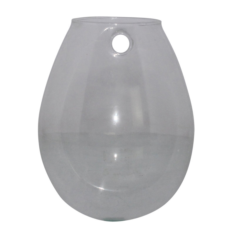 Terrarium en verre Jsoeph, H 5 po x l 3,25 po x P 4 po