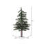 Arbre de Noël pin alpin-222999076
