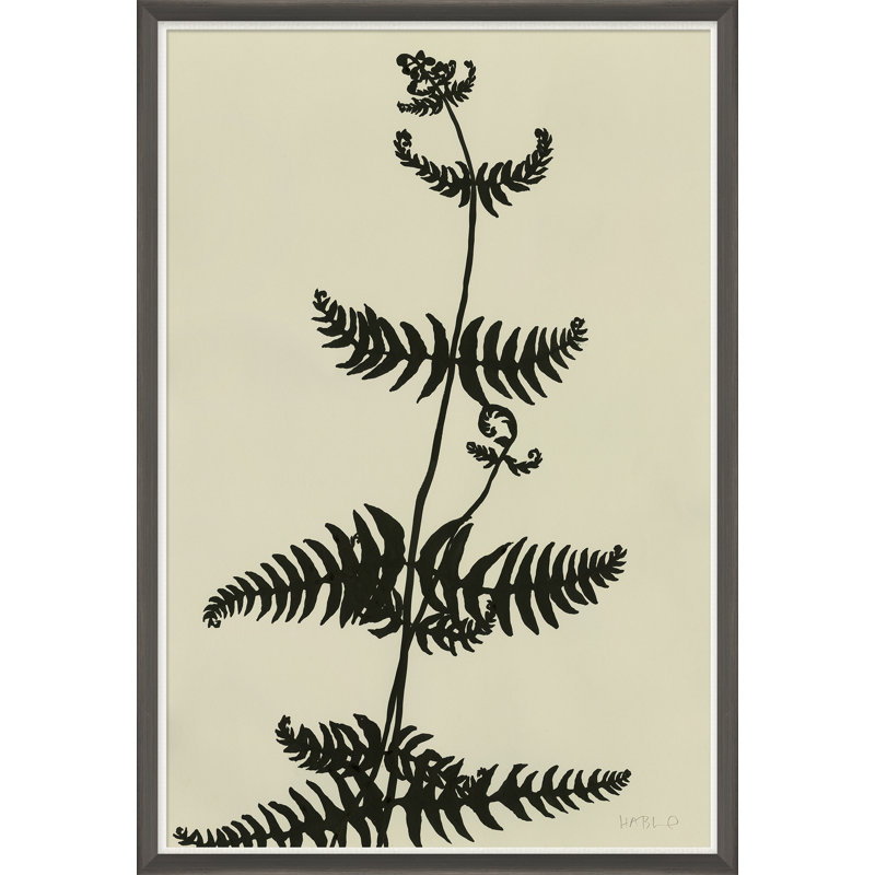 Ink On Paper - Fern Giclee Print by Susan Hable