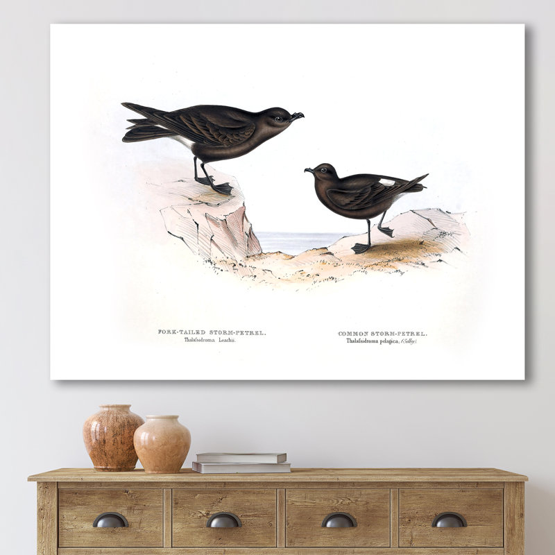 Oiseau rétro de l'Europe III - peinture sur toile, H 30 po x l 40 po x 1,5 po, Toile tendue