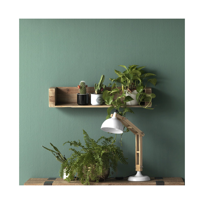 Cierra Spruce Solid Wood