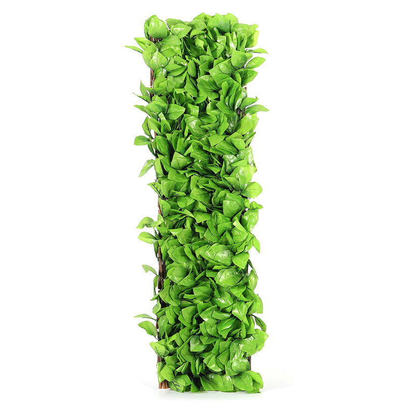 Zakare 90cm H x 180cm W Expanding Trellis, Green
