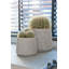 Bohemian Pots Handmade Fiberstone Planter