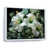 Cadre flottant blanc
