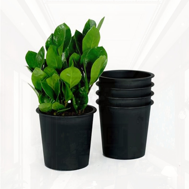 Paquet de 5 pots de 6,3 po, H 5,5 po x l 6,3 po x P 6,3 po