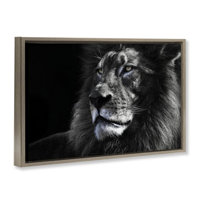 Portrait d'un lion en gros plan