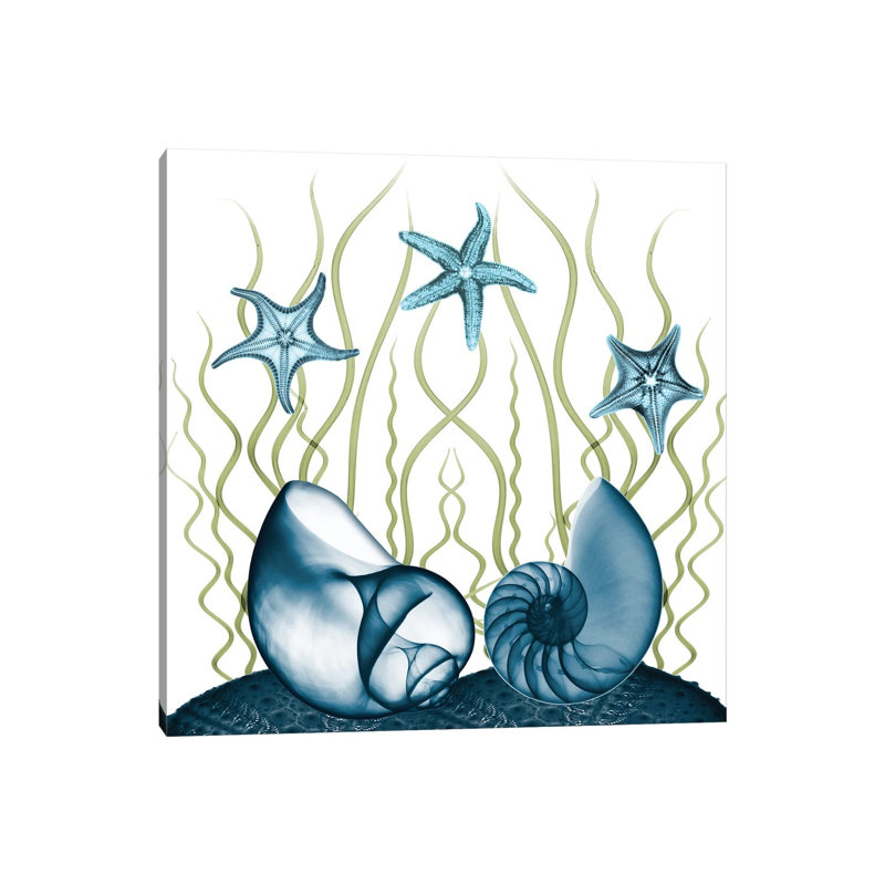 Majestic Sea Floor II by Albert Koetsier - Print on Canvas, 66.04cm H x 66.04cm W x 3.81cm D, Wrapped Canvas
