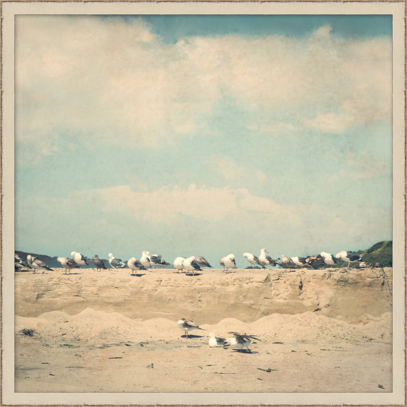 Gull Colony - Photographie sur toile avec cadre photo