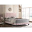 Lit rose entièrement transitionnel - l 80 po x P 83 po x H 48 po, rembourré de mousse, confortable avec des matériaux H 48 po x P 83 po, velours