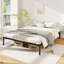 Double (4'6) Bed-1210845266