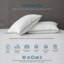 Oreillers en duvet d'oie 100% coton biologique-1835365664