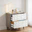 Classeur 2 tiroirs, armoire de rangement spacieuse-1109184884