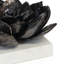 Succulent Sculpture 1 (Blackened Zinc)