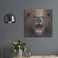 «Bear 2» par Harro Maass-769967420