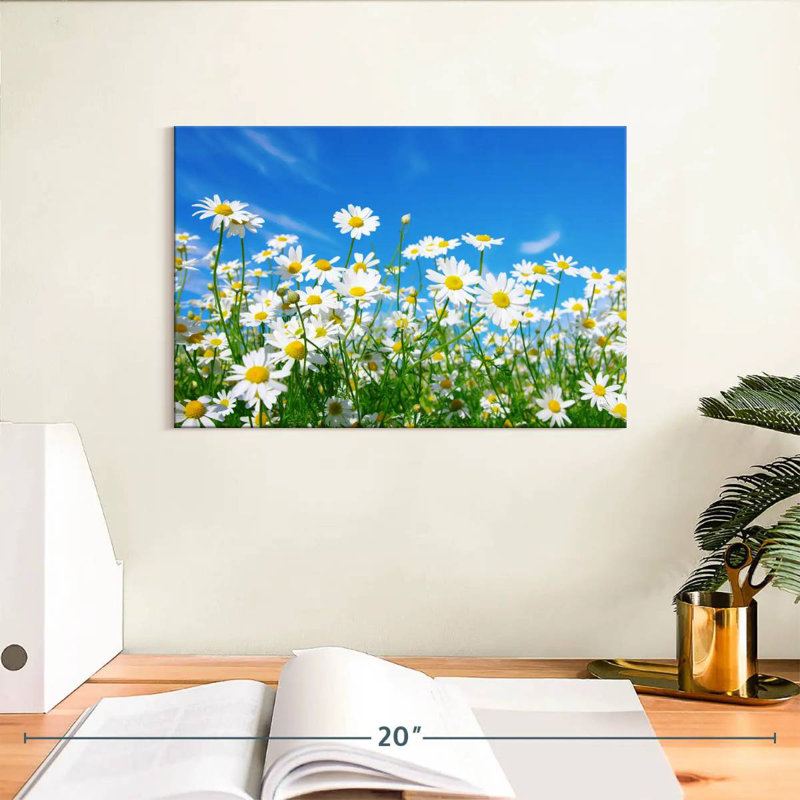 Harnek pré de marguerites blanches, H 8 po x l 12 po