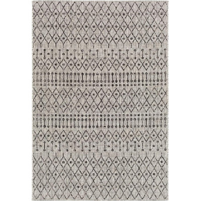 Hongming Indoor / Outdoor Rug