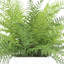 Richas Faux Fern Plant in Fiberstone Decorative Vase