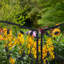 47cm H x 54.5cm W Metal Fence Panels