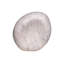 Petra Marble Sculpture