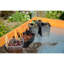 Tipton Pine Potting Bench-1753659347