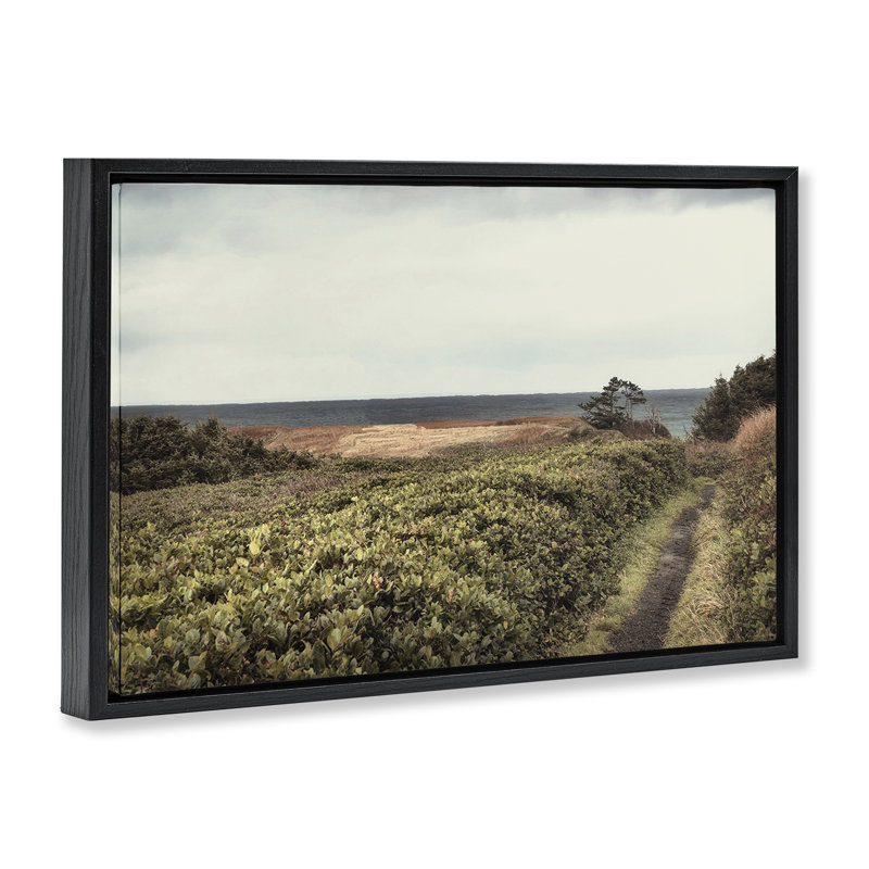  Toile flottante encadrée Serene Coastal Pathway par Andy Amos, Cadre flottant noir de jais, H 21 po x l 31 po