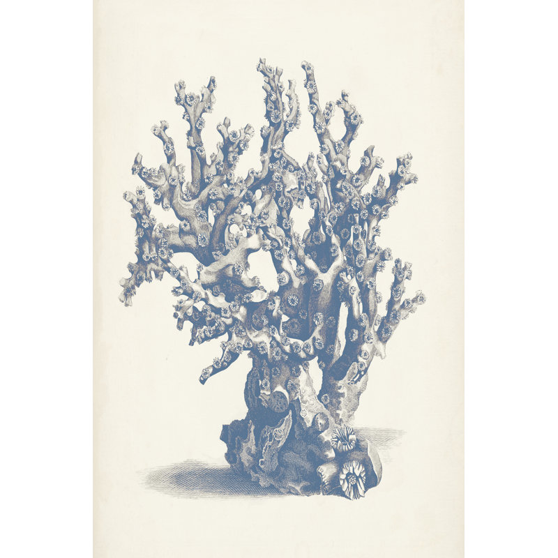 Antique Coral Collection V - Painting, 91cm H x 61cm W, Wrapped Canvas