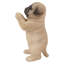 Statue chiot carlin
