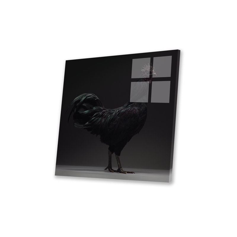 " Ayam Cemani " by CHICken