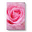 Pink Rose Petals - Wrapped Canvas-56666213